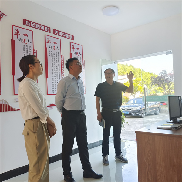 5月5日，县委常委、组织部长方庆峰调研新安江公司，星空体育·(中国)官方网站-登录入口常务副总经理方亮陪同。.jpg