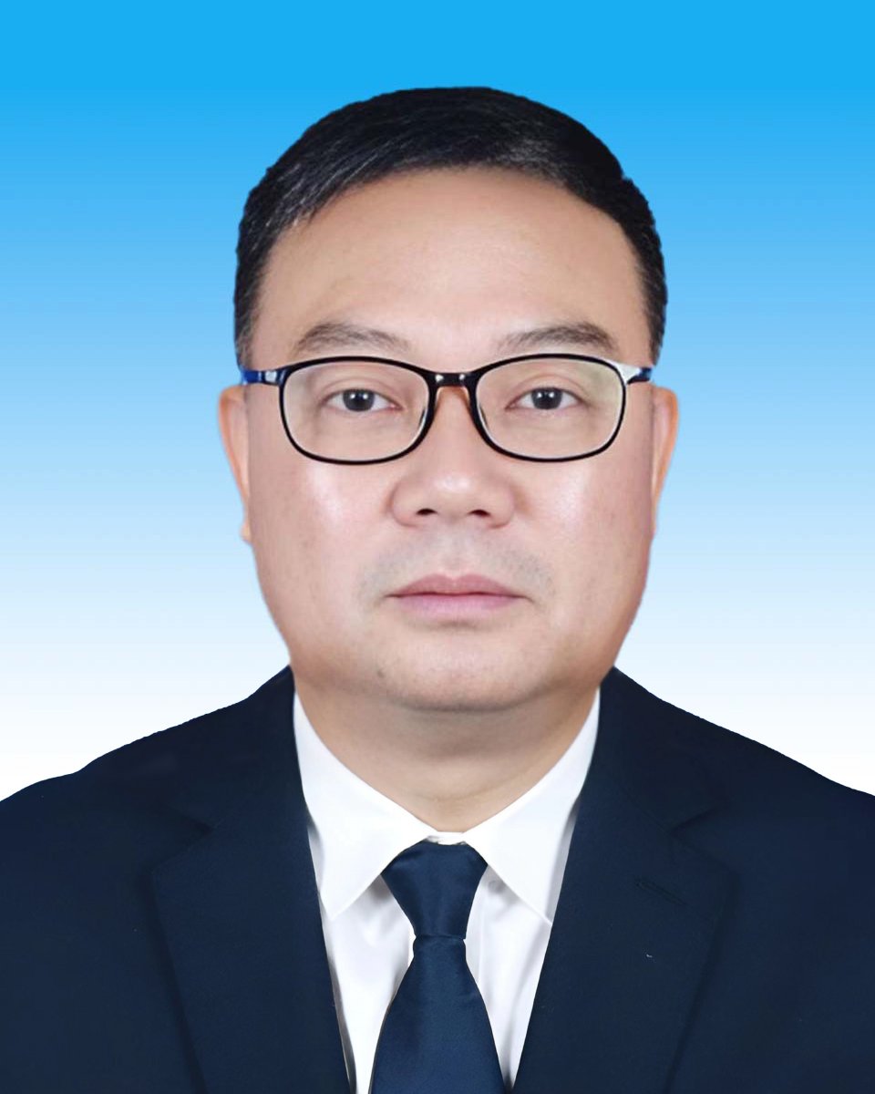 党委副书记